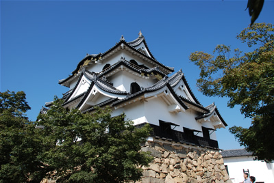 e0126914_2354925.jpg