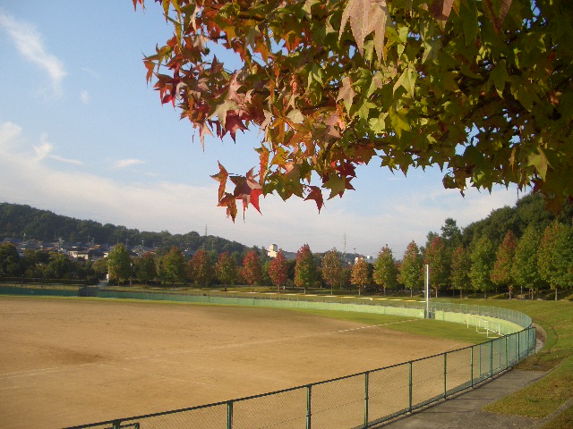 f0079314_1319643.jpg