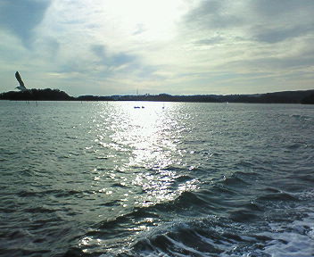 d0013816_2264665.jpg