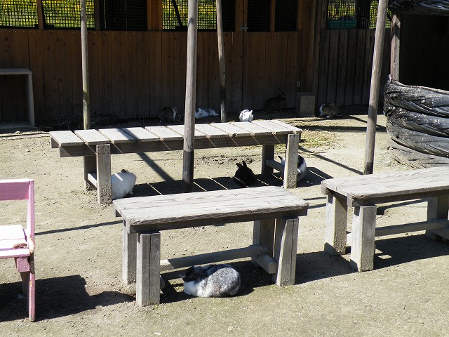 c0127617_20303291.jpg