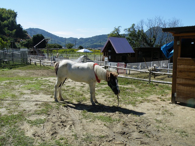 c0127617_20315797.jpg