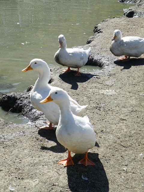 c0127617_20323271.jpg