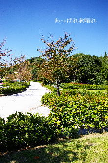 e0129517_2044613.jpg