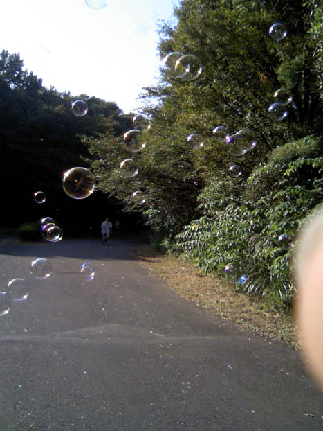 c0083518_20471810.jpg