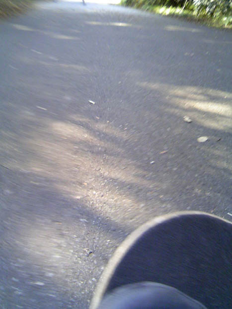c0083518_21141717.jpg