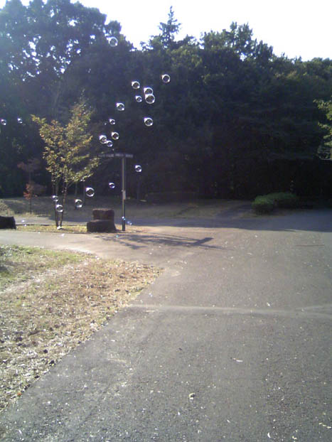 c0083518_2153896.jpg