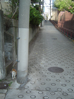 c0135618_0252623.jpg