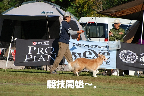 c0116921_23212387.jpg