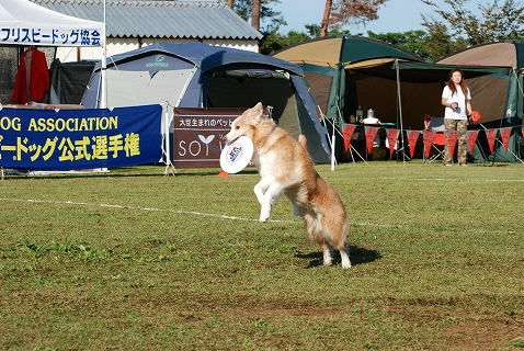 c0116921_23313145.jpg
