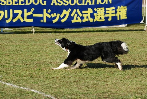 c0116921_2340851.jpg
