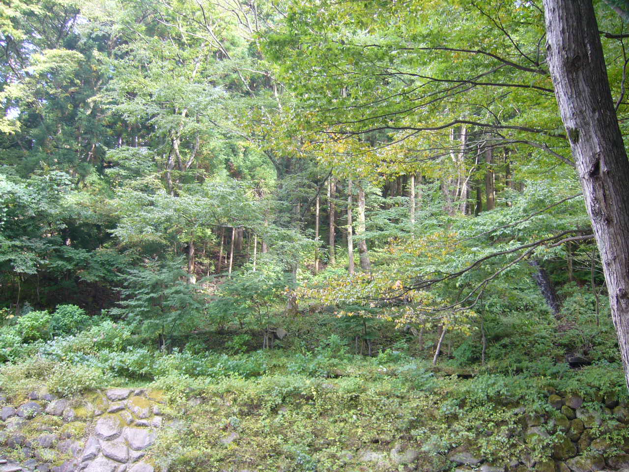 f0135021_13122176.jpg