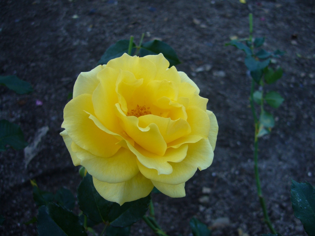 f0135021_2149089.jpg