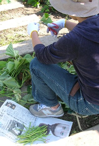 f0150629_2232354.jpg