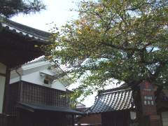 b0115330_2085632.jpg