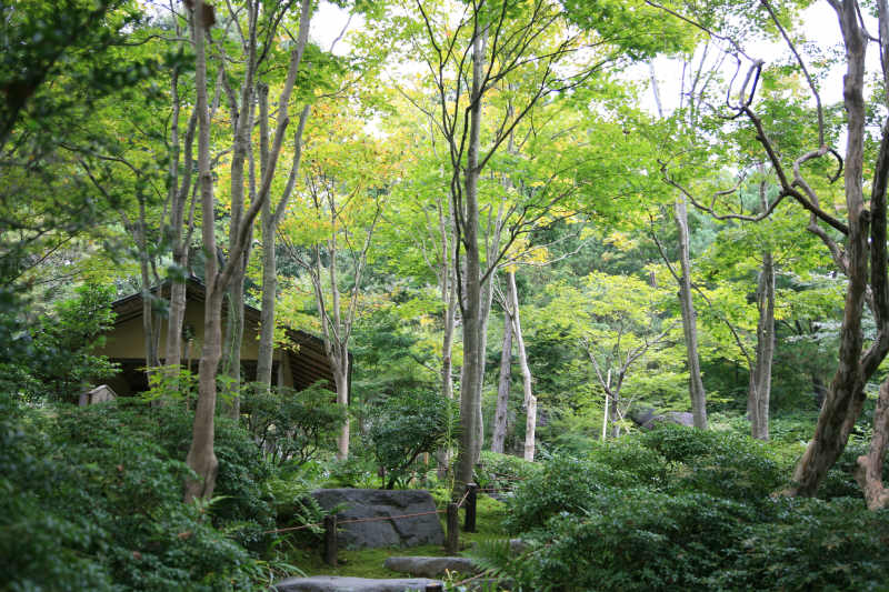 f0017530_2024629.jpg