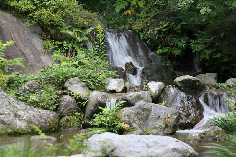 f0017530_2034411.jpg