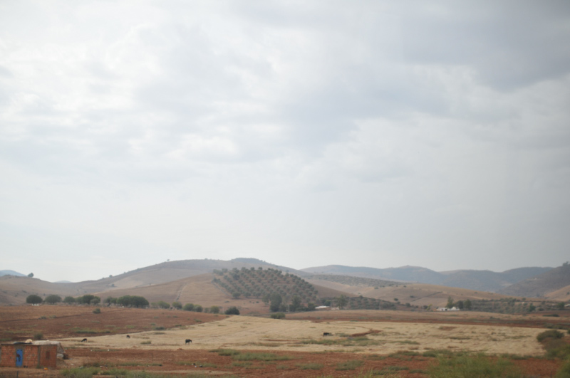 b0117833_18194655.jpg