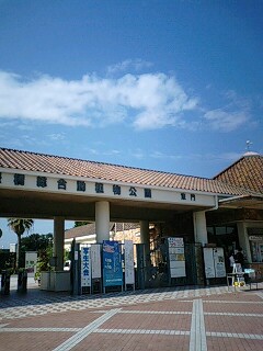 e0053333_7122632.jpg