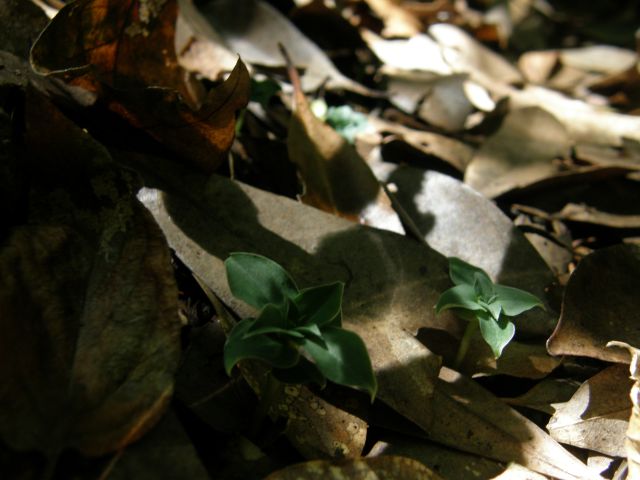 e0145033_195485.jpg