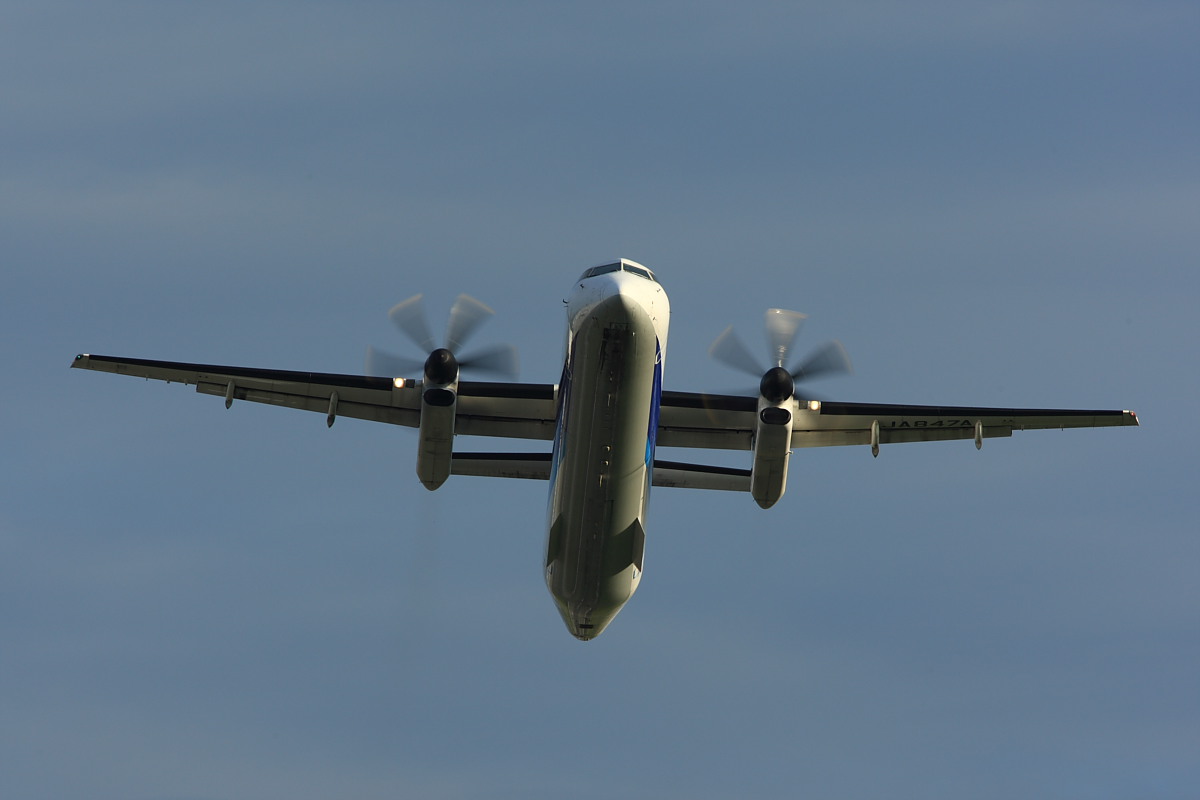 c0169436_114066.jpg