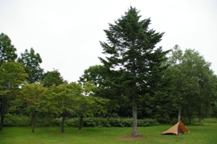 c0105338_16352168.jpg
