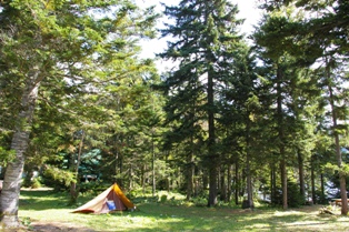 c0105338_16364644.jpg