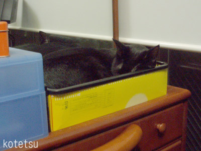 c0132438_231793.jpg