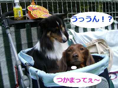 f0186040_18596.jpg