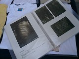 f0169942_21272841.jpg