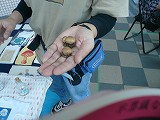 f0169942_2130054.jpg