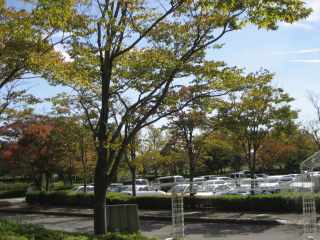 c0122744_8345684.jpg
