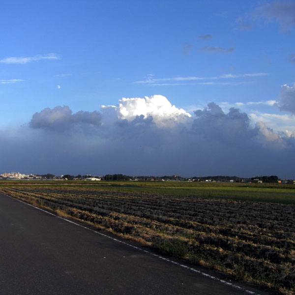 f0184244_10322375.jpg