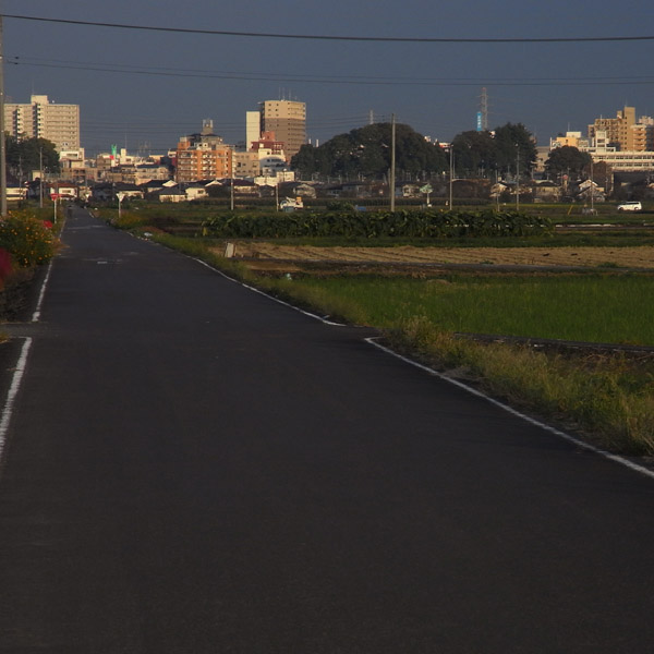 f0184244_10323892.jpg