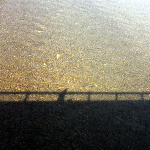f0184244_22265281.jpg