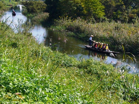c0122445_233793.jpg