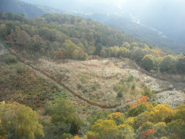 c0026846_11265540.jpg