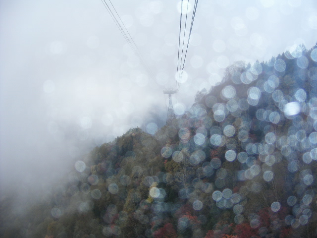 c0026846_11331133.jpg