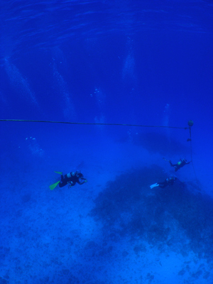d0065247_18584392.jpg