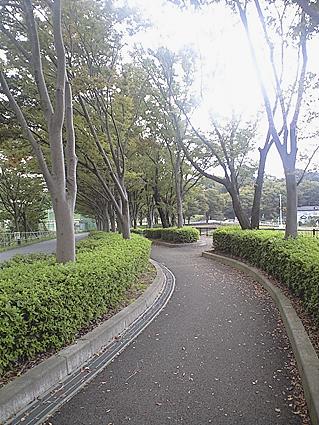 c0179152_22331034.jpg