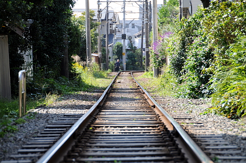 e0050753_20154147.jpg