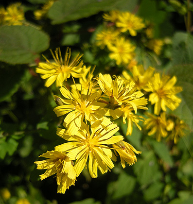 a0001354_20584070.jpg