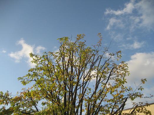 a0075455_720964.jpg