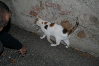 f0077159_0502672.jpg