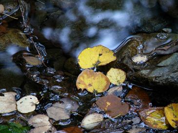 e0136962_20121490.jpg