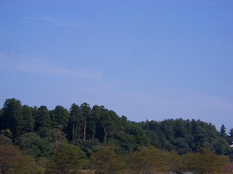 f0179563_17371021.jpg