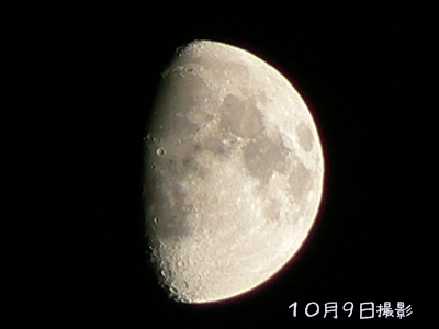 d0081464_2044363.jpg