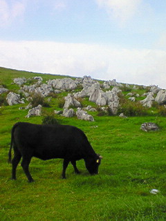 f0180166_2218334.jpg