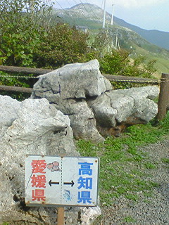 f0180166_22254019.jpg