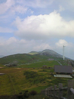 f0180166_2291031.jpg