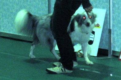 c0171368_0482039.jpg